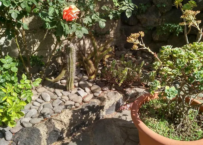 בית נופש I Dammusi Di Egle *